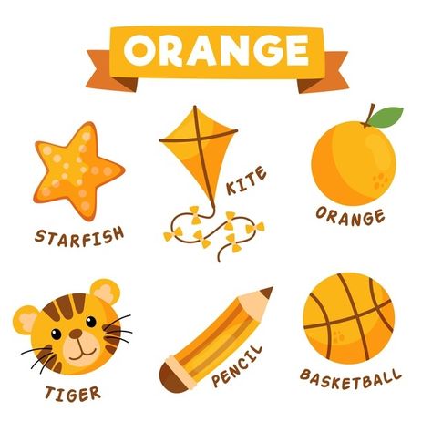 Orange Objects, Nursery Activities, Cute Colors, Object Drawing, Learning Techniques, School Education, Color Worksheets, Preschool Learning, Children Illustration