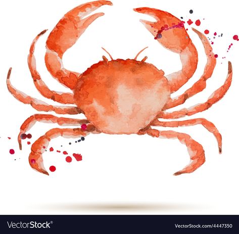 Crab Watercolor, Crab Illustration, Ocean Watercolor, Stocking Designs, Car Sticker, Featured Artist, Orange White, Car Stickers, Royalty Free Images