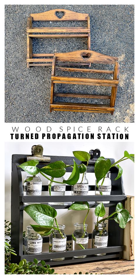 Propagating Station Ideas, Plant Propagation Display, Cute Propagation Ideas, Repurposed Spice Rack, Vintage Spice Rack Makeover, Upcycled Diy Projects, Dollar Tree Propagation Station, Propagating Station Diy, Propagation Jars Diy