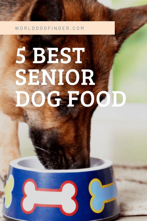 As dogs age, their dietary needs will change. They will not require as much energy, and their mobility will probably decrease. To provide them a carefree senior life, you should pick the best senior dog food made specifically for older dogs. Senior dogs have a slower metabolism, and their food should adapt to it. Senior Dog Food, Senior Dog Food Recipes, Make Dog Food, Dog Food Brands, Food Review, Dog Ages, Dog Food Storage, Senior Dogs, Best Dog Food