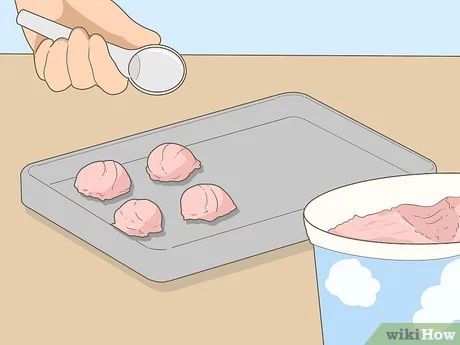 How to Make Freeze Dried Ice Cream (with Pictures) - wikiHow Freeze Dry Ice Cream, Astronaut Ice Cream, Freeze Dried Ice Cream, Best Freeze Dried Food, Ice Cream Place, Dried Food, Diy Ice Cream, Dry Ice, Freeze Drying Food