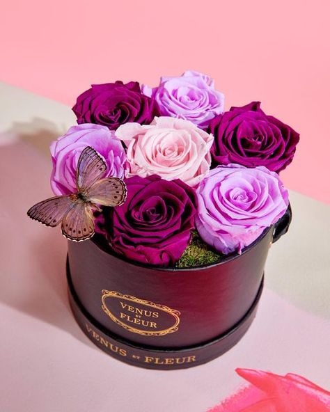 Venus et Fleur - Eternity Flowers and Arrangements on Instagram: "It might be April Fool’s Day, but we don’t joke about our serious love for color and design. Introducing the newest edition to our Le Petit Round inspired by our KITH collaboration. Now available in two limited-edition color combinations, Plum Ombré and Champagne Ombré." Reflexed Roses, Parisian Hat, Spring Roses, Hat Boxes, Wedding Flower Arrangements, April Fools, Birthday Flowers, Real Flowers, The Fool