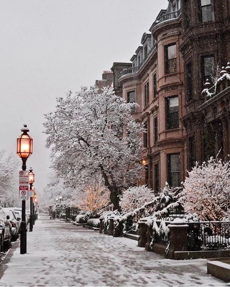 Heather💝✨ on Twitter: "Snowy days in Boston’s streets ☃️🧣🧤… " Boston Street, Winter Poster, Winter Szenen, Winter Images, Winter Scenery, Winter Magic, Winter Beauty, Snow Scenes, Winter Pictures