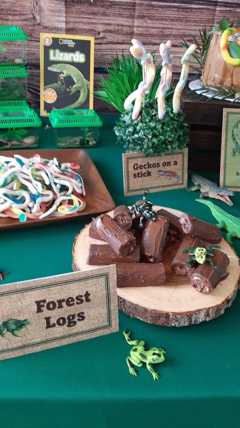 Reptile Zoo Birthday Party, Safari Sixth Birthday, Rainforest Party Ideas, Reptile Desserts, Reptile Party Snacks, Gecko Party Ideas, Reptile Food Party Ideas, Reptile Dessert Table, Reptile Party Cake