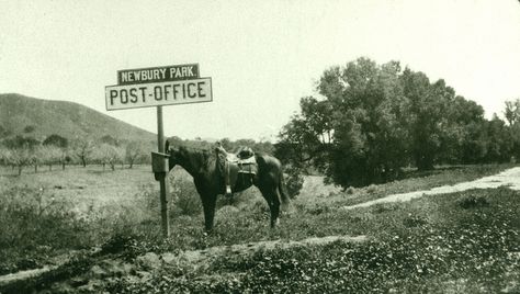 Garden Of Allah, Los Angeles Architecture, Newbury Park, California Ranch, Lala Land, Going Postal, California History, San Fernando Valley, Simi Valley