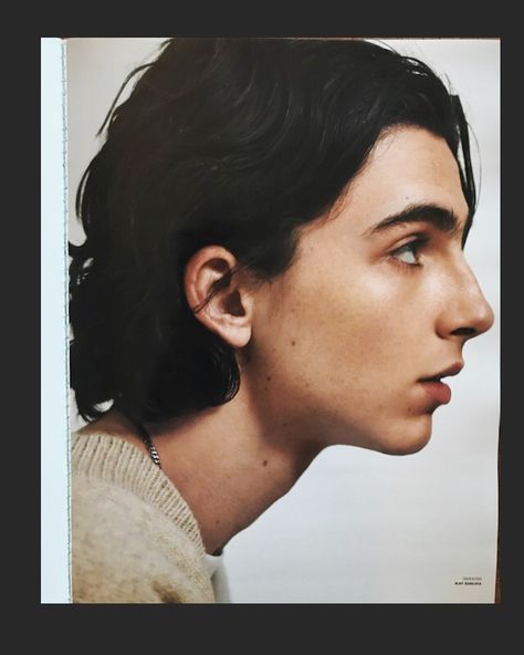 sandrafilter: “Collier Schorr ” Mole On Face, Guy Models, I Only See You, Timmy T, Oui Oui, Timothee Chalamet, 인물 사진, Art Reference Photos, More Pictures