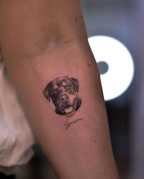 Dog Tattoo Rottweiler, Realistic Pet Tattoos, Rotweiller Tattoo, Realism Dog Tattoo, Micro Dog Tattoo, Small Pet Portrait Tattoo, Rottie Tattoo, Small Dog Portrait Tattoo, Pet Portraits Tattoo