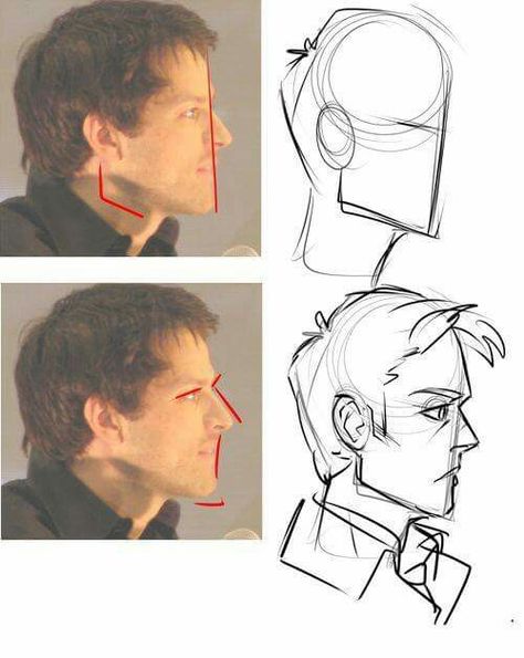 Face head profile Breast Reference, رسم كاريكاتير, 얼굴 드로잉, 얼굴 그리기, Sketch Pad, Anatomy Drawing, Poses References, Guided Drawing, Reference Poses