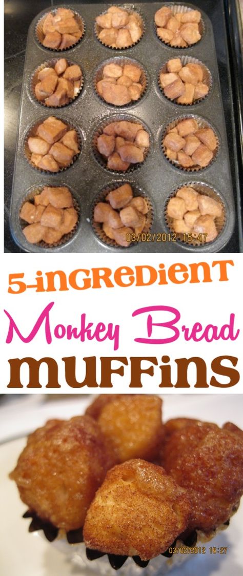 Monkey Bread Muffins Recipe! {Just 5 Ingredients} - The Frugal Girls Recipe With Canned Biscuits, Bread Muffins Recipe, Monkey Bread Muffins, Nutella Muffin, Easy Monkey Bread, Monkey Family, Morning Glory Muffins, Muffins Recipes, Canned Biscuits