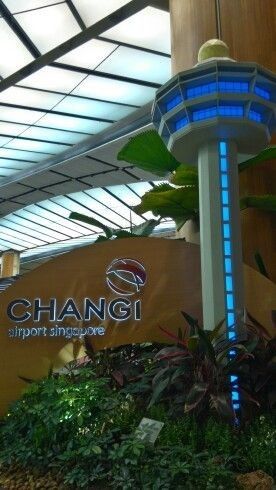 Changi Airport Singapore Aesthetic, Bandara Singapore, Vacation Airplane, Changi Airport Singapore, Singapore Changi Airport, Singapore Tour, Singapore Photos, Changi Airport, Airport Terminal