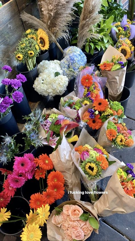 Nothing But Flowers, Flower Therapy, Pretty Plants, Spring Vibes, Flower Market, Flowers Nature, Fall Flowers, Love Flowers, My Flower