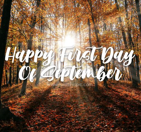 Fall Forest: Happy First Day Of September forest fall september september quotes happy first day of september quotes first day of september first day of september 2020 first day of september quotes first day of september images first day of september pictures happy first day of september images Happy September 1st Quotes, First Day Of September Quotes, September 1st Quotes, September First, First Day Of September, September Pictures, September Images, September Quotes, Forest Fall