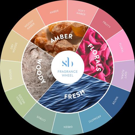 FRAGRANCE FAMILIES EXPLAINED - SCENT BEAUTY Fragrance Wheel, Fragrance Families, Fragrance Quote, Fragrance Lab, Diy Perfume, Perfume Scents, Inner Self, Perfume Lover, Essential Oil Perfume