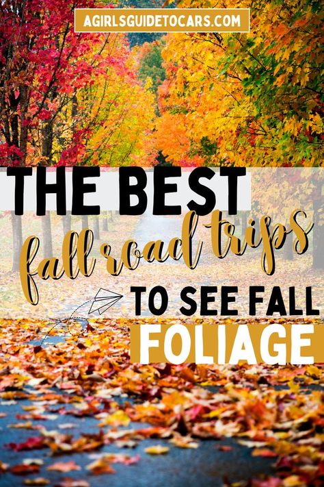 fall foliage Fall Foliage Trips, Fall Foliage Road Trips, Best Weekend Trips, Fall Road Trip, Autumn Foliage, Road Trip Hacks, Fall Travel, Hit The Road, Travel Activities