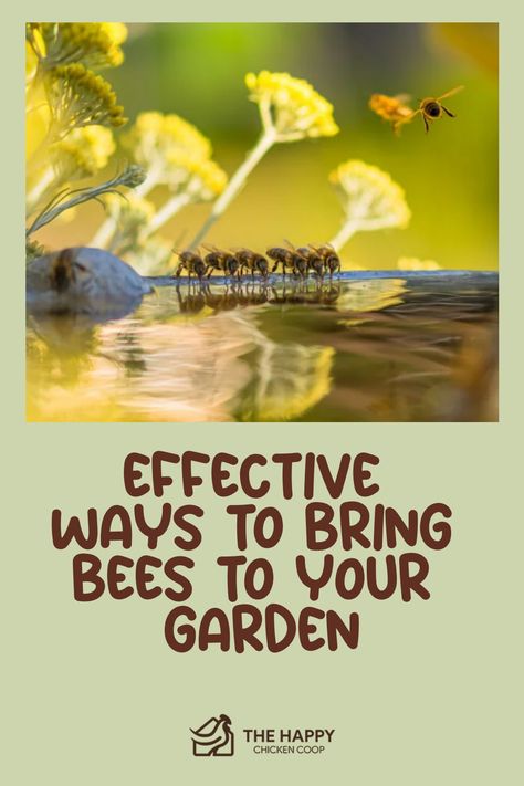 Bees flying and crawling on flowers with text "Effective ways to bring bees to your garden" from The Happy Chicken Coop. Bee Friendly Flowers, Raising Quail, Bee Friendly Plants, Backyard Bee, Bee Houses, Goat Care, Wild Bees, Bee Hotel, Backyard Beekeeping