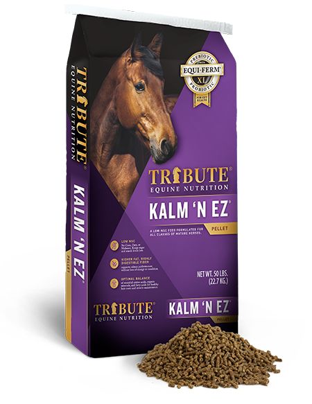 Low NSC for the Performance Horse | Tribute Equine Nutrition Biker Family, Horse Yard, Fat Horse, Horse Jump Ideas, Canadian Horse, Equine Nutrition, Healthy Horses, Horse Food, Livestock Feed