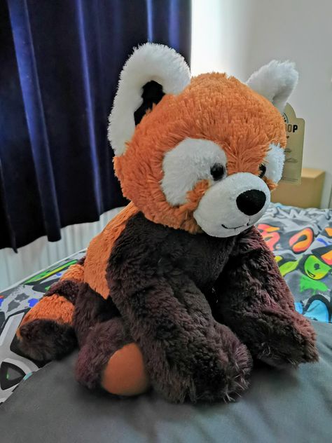 Please follow #iloveredpandas Wondering if my Red panda plush belongs here? (It's called Narama) #redpanda #panda #cutebear #bear #animal #firefox #panda #pandabear Red Panda Stuffed Animal, Plushie Making, Red Panda Plush, Panda Teddy, Panda Stuffed Animal, Panda Plush, Red Pandas, Bear Animal, Concert Outfits