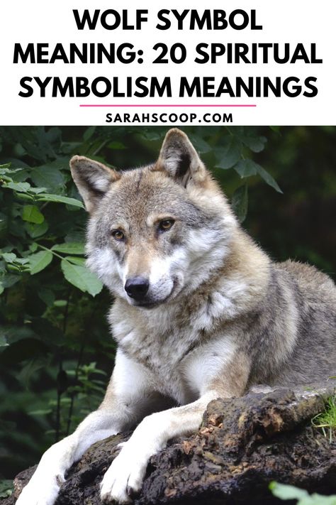 Symbol And Meaning, Wolf Symbolism, Wolf Symbol, Symbols And Meanings, The Wolf, Meant To Be, Spirituality