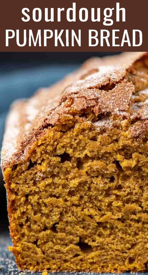 Sourdough Pumpkin Bread, Use Sourdough Discard, Dough Starter Recipe, Sourdough Pumpkin, Recipe Using Sourdough Starter, Sourdough Bread Starter, Dough Starter, Friendship Bread, Sourdough Starter Discard Recipe