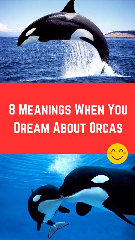 8 Meanings When You Dream About Orcas (Interpretation) Orca Whale Spiritual Meaning, Orca Spirit Animal, Orca Spirit Animal Meaning, Orca Symbolism, Powerful Creatures, Spirit Animal Meaning, Animal Meanings, Dream Symbols, Dream Meanings