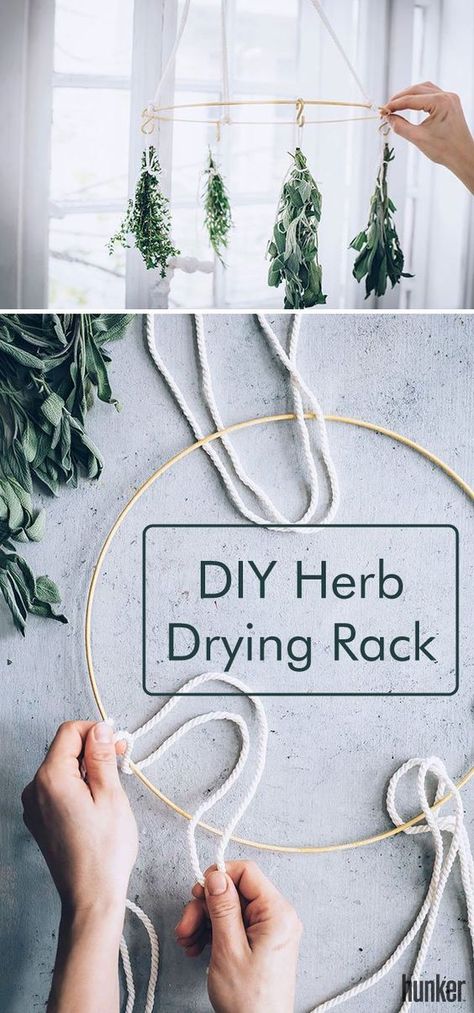 Drying Herbs In Kitchen, Hanging Herbs To Dry, Dry Herbs Diy, Diy Flower Drying Rack, Drying Herbs Hanging, Living Herb Wall, Herbalist Kitchen, Diy Herb Drying Rack, Diy Herb Drying