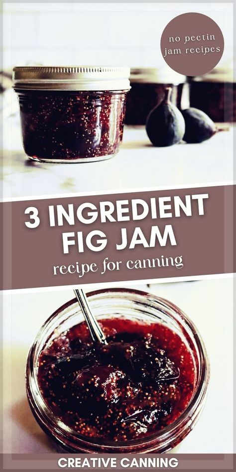 Canning Fruit Recipes, Fig Jelly, Grape Jam Recipe, Fig Preserves Recipe, Homemade Fig Jam, Refrigerator Jam, Fig Jam Recipe, Canning Fruit, Grape Jam