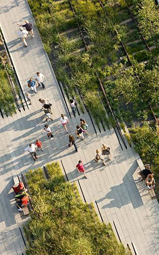 Highline Park, New York High Line, Highline Nyc, Linear Park, Peisaj Urban, Desain Lanskap, Hudson Yards, Public Realm, Urban Park