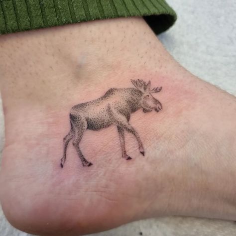 Moose Tattoo, modern moose tattoo, simple moose tattoo, moose tattoo ideas, geometric moose tattoo, small moose tattoo, traditional moose tattoo, feminine small moose tattoo, realistic moose tattoo, moose tattoo simple, moose tattoo designs, laurdiy moose tattoo, cute moose tattoo, moose tattoo small, tiny moose tattoo, outline small moose tattoo, minimalist moose tattoo, cartoon moose tattoo, small black moose tattoo, small simple moose tattoo, cute moose tattoo small, bull moose tattoo Simple Wildlife Tattoo, Moose Tattoo For Women Small, Fine Line Moose Tattoo, Moose Outline Tattoo, Simple Moose Tattoo, Moose Tattoo Men, Moose Tattoo Small, Moose Tattoo For Women, Moose Antler Tattoo