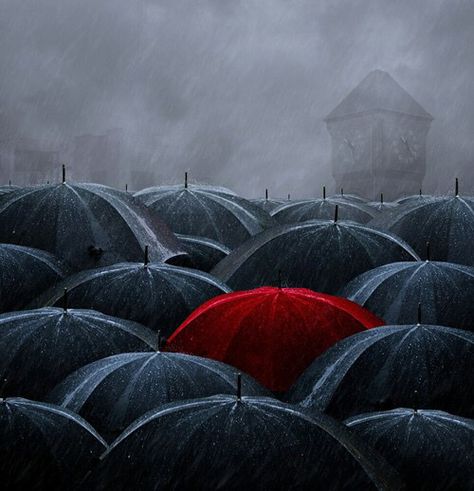 Black umbrellas & one red umbrella in the middle art Black Umbrella, Umbrella Art, Red Umbrella, Under My Umbrella, Toyama, Ansel Adams, Shine Bright Like A Diamond, In The Rain, A Group