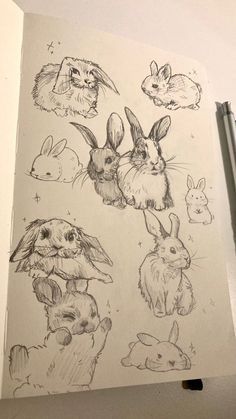 Bunny Drawing, Arte Sketchbook, Cute Doodle Art, Art Drawings Sketches Creative, Sketch Ideas, Sketchbook Ideas, Book Art Drawings, Art Drawings Sketches Simple, Sketchbook Art Inspiration