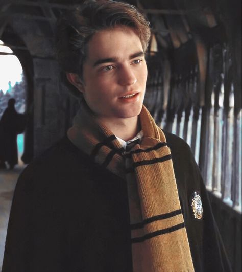 Cedric Diggory Aesthetic, Hufflepuff Aesthetic, Harry Potter Icons, The Goblet Of Fire, Hogwarts Aesthetic, Cedric Diggory, Goblet Of Fire, Harry Potter Cast, Harry Potter Wallpaper