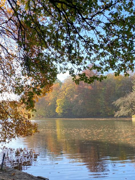 Lake In Forest Aesthetic, Lake Background Aesthetic, Autumn Lake Aesthetic, Miriam Core Aesthetic, Magda Core, Forest Vibes Aesthetic, Lake Aesthetic Wallpaper, Forest Lake Aesthetic, Caitlin Aesthetic