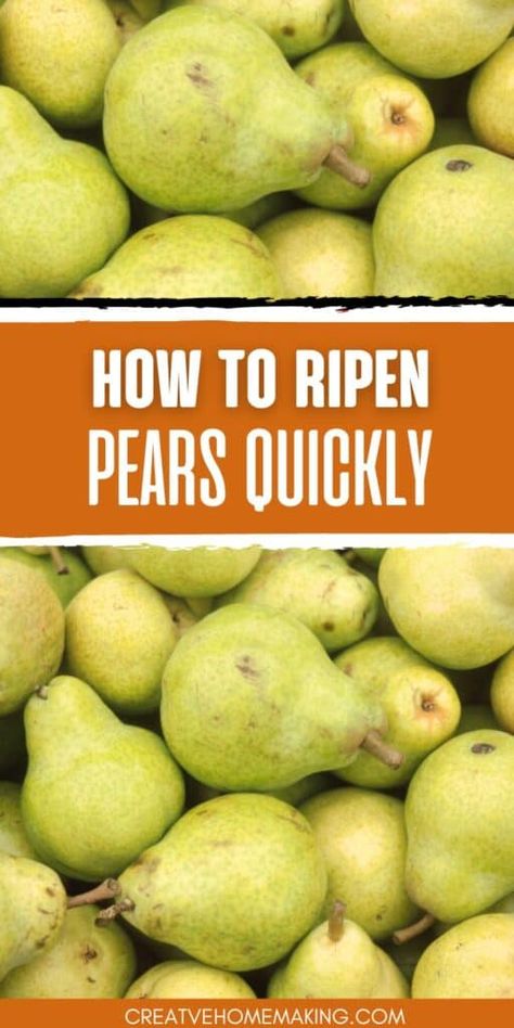 How To Ripen Pears Quickly, How To Ripen Pears, Red Pears, Pear Varieties, Ripe Pears, Canned Pears, Bartlett Pears, Fruit And Vegetable Storage, Red Pear