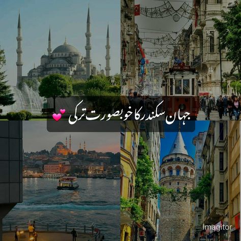 Dairy Quotes, Turkey Quotes, Classy Girl Quotes, Turkey Lover, Aiza Khan, Coffee Shake, Dream Country, Novelist Quotes, Romantic Novels To Read