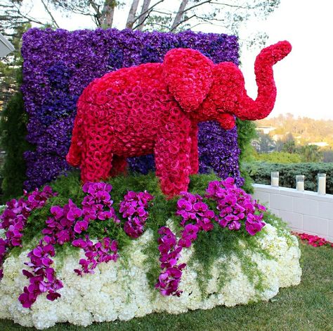 Elephant floral arrangement by Jeff Latham! Breathtaking!!!! #TrunksUp Elephant World, The Elephant In The Room, Elephant In The Room, Delta Girl, Colton Haynes, Delta Sigma Theta Sorority, Can We Talk, Wedding Planning Services, Elephant Decor