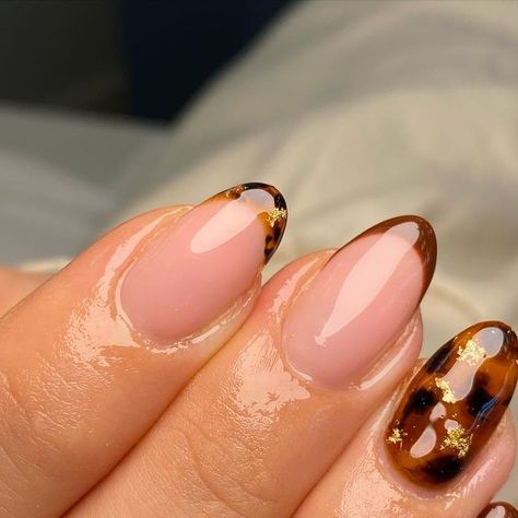 𝐃𝐚𝐧𝐢𝐞𝐥𝐥𝐞’𝐬 𝐁𝐞𝐚𝐮𝐭𝐲 𝐒𝐭𝐮𝐝𝐢𝐨 on Instagram: "TORTIE 🍂 Oh yesss. Now it feels like autumn. Nails by Danielle #nails #gelnails #nailart #nailinspo #autumnnails #autumnnailart #nailsofinstagram #nailsoftheday #tortienails #thegelbottle #worthing #worthingnails #worthingbeauty #worthingsalon @the_gelbottle_inc" Autumn Nails Biab Short, Biab Nails Autumn 2024, Autumnal Nails Biab, October Biab Nails, Khaki Tips Nails, Cute Nails For Autumn, Autumnal Biab Nails, Cool Biab Nails, Autumn Nails Round