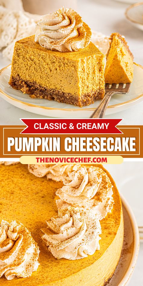 Looking for the perfect fall dessert? This rich, creamy Pumpkin Cheesecake is a time-tested favorite. With real pumpkin, warm spices, and a buttery cinnamon graham cracker crust, it's a little slice of heaven! Pumpkin Cheesecake Premade Crust, Plain Desserts, Best Pumpkin Cheesecake Recipe, Best Pumpkin Cheesecake, Cinnamon Graham Cracker Crust, Layered Cheesecake, Cheesecake Pumpkin, Heavenly Desserts, Homemade Crust