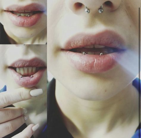 Piercings Unique Face, Inner Lip Piercing, Unique Lip Piercings, Unique Facial Piercings, Unique Face Piercings, Lip Percinings, Inside Lip Piercing, Unique Piercings Face, Earlobe Stretching