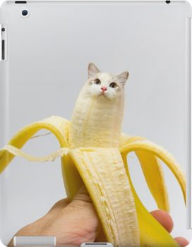 Slim impact-resistant polycarbonate case with protective lip and full access to device ports. Vibrant colors embedded directly into the case for longevity. Available for iPad 4/3/2. Delicious banana cat really wants to stay with you on a T-shirt, cover, mug and other products! A Banana, A Cat, Instagram