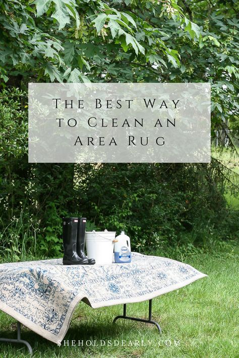 Washing Area Rugs, How To Clean A Rug By Hand, Deep Clean Rug Diy, How To Wash Area Rug At Home, Washing An Area Rug, How To Wash A Rug At Home, Cleaning Wool Rugs Diy, How To Wash Rugs At Home, Diy Rug Cleaning