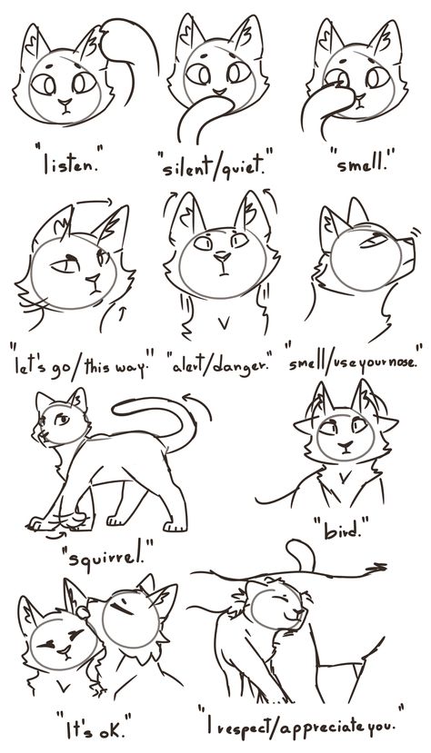 Warrior Cats Drawing, Warrior Cats Funny, Warrior Cat Memes, Warrior Cats Comics, Cat Drawing Tutorial, Warrior Cats Books, Cat Anatomy, Warrior Cats Fan Art, Cat Body