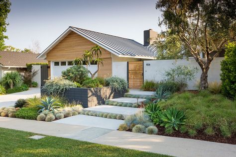 Mcm Garden, California Landscape Design, Mid Century Modern Landscaping, Modern Landscaping Ideas, California Landscaping, Xeriscape Front Yard, Exterior Landscaping, Street Appeal, Dracaena Marginata