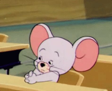 Tom And Jerry Gif, Sapo Meme, Tom And Jerry Pictures, Tom Et Jerry, Funny Tom, Laughing Funny, Tom And Jerry Cartoon, Old School Cartoons, Disney Gif