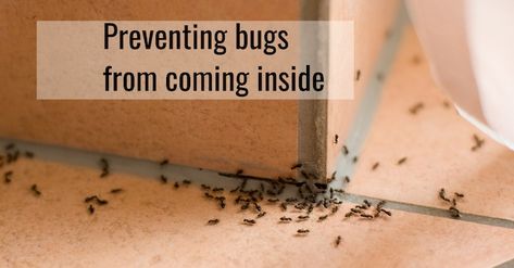 Pest Control Tips: 13 Secrets to Bug Proof Your Home Like a Pro Bug Proof Home, How To Bug Proof Your House, Outdoor Bug Control, Pest Control Pictures, Home Pest Control, Fix Leaky Faucet, House Bugs, Ant Problem, Leaky Faucet