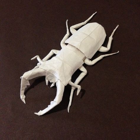 Prosopocoilus inclinatus | Flickr - Photo Sharing! Complex Origami, Origami Insects, Origami Tattoo, Paper Mache Projects, Cardboard Model, Creative Origami, Origami Artist, Origami Dress, Paper Architecture