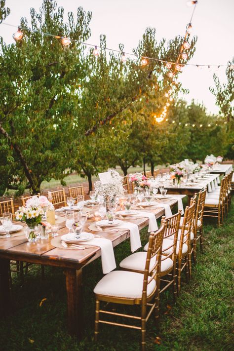 Style Me Pretty The Vault Orchard Wedding Reception, Fall Orchard, Fall Gardens, Apple Orchard Wedding, Alabama Wedding Venues, San Diego Botanic Garden, Outdoor Bride, Fall Garden Wedding, Fall Gardening