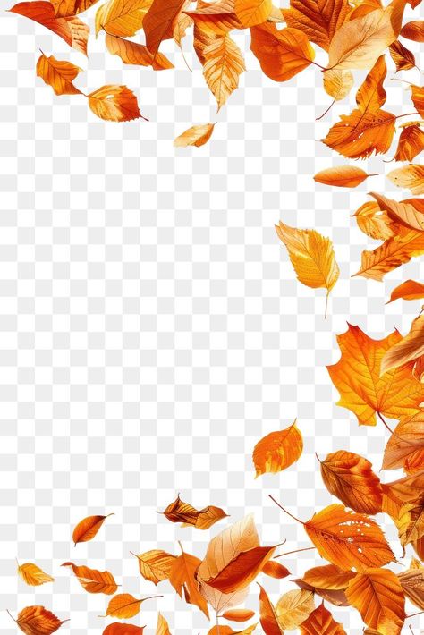 Autumn Leaves Border Design, Leaves Blowing In The Wind, Petals Falling, Fall Leaves Png, Thanksgiving Leaves, Flowers Border, Free To Use Images, Leaves Autumn, Autumn Flowers