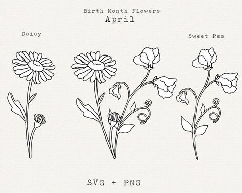 Daisy SVG Sweet Pea SVG April Birth Month Flower SVG April | Etsy Daisy And Sweet Pea Bouquet Tattoo, April Daisy Flower Tattoo, April Birth Flower Tattoo Daisies, Sweet Pea Flowers Drawing, Sweat Pea Tattoo, April Flower Tattoo, April Birth Flower Tattoo, April Birth Month Flower, Birth Month Flower Svg