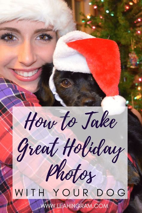 Dog Holiday Photos, Photos With Your Dog, Holiday Dog Photos, Christmas Pet Photos, Dog Christmas Photos, Dog Christmas Pictures, Family Photos With Baby, Dogs Christmas, Photos With Dog