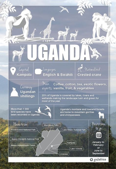 Africa Infographic, Uganda Africa, Uganda Travel, Country Information, Chobe National Park, Gorilla Trekking, Travel Infographic, African Travel, Missions Trip